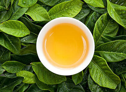 8款保健茶饮让你喝出夏季清凉