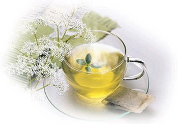 自制减肥茶：桑叶荷叶茶的做法