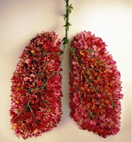 肺部垃圾多损健康，清肺一招简单搞定