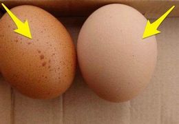 长斑的鸡蛋能吃吗？会有什么危害？