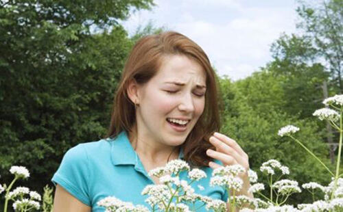 春季花粉过敏高发期 几招预防花粉过敏
