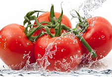吃番茄好处多，但是禁忌你们懂吗？