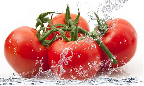 吃番茄好处多，但是禁忌你们懂吗？