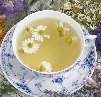 夏季五种花茶可预防感冒