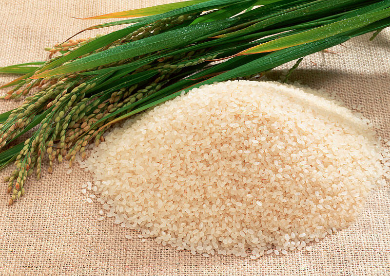 我们每天吃的米饭怎么煮才好吃？