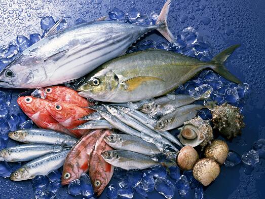海鲜怎么放冰箱里保存?海鲜的保存方法有哪些