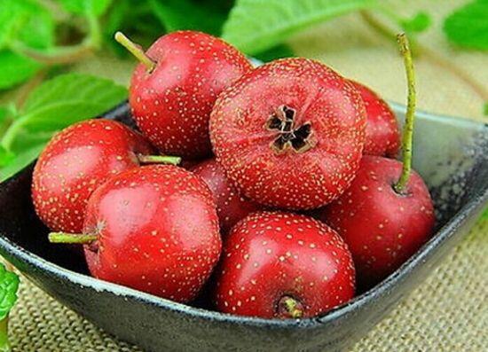 5种水果利于秋季养生