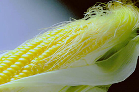 玉米须有很多养生功效，千万别扔了