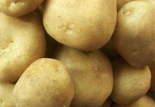 土豆很常见，好处却很多，你喜欢吃吗？