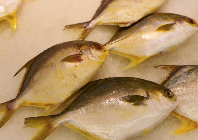 鱼肉鲜嫩可口，6种常见鱼类的养生作用，你不得不知