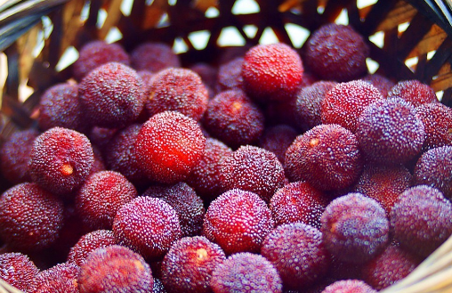 5种水果被评为“水果之王”，它们真的很有营养