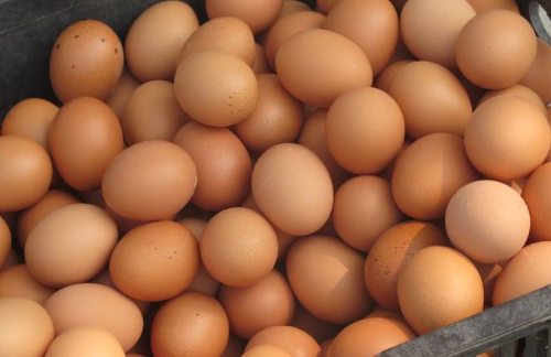 每一种“蛋”的营养都不一样，别吃错了