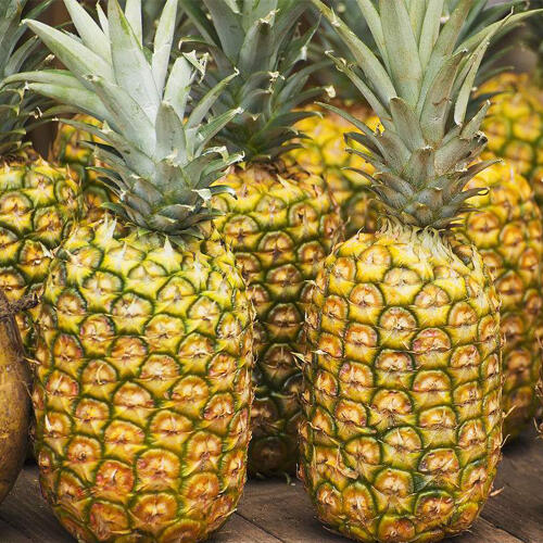 菠萝是“水果之王”，味道甜美，还能祛斑防癌
