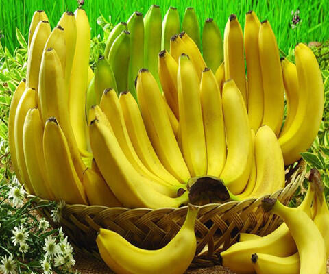 香蕉的功效和禁忌你都了解了嗎？