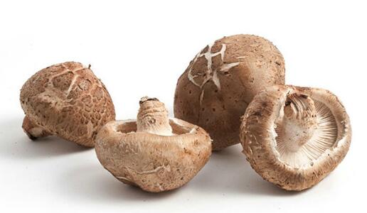蘑菇加一物，“黃金搭配”好處多！補鈣、健腦、護腸胃，越吃越健康